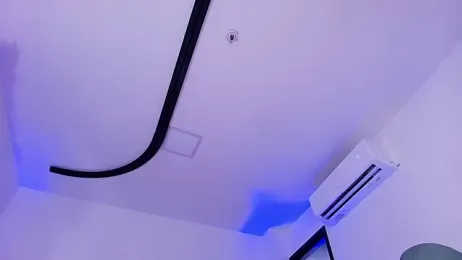 mister_miike webcam stripchat model stream image