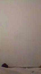 Rhoff06 webcam model stream image