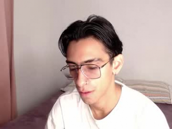 ash_v1 webcam model stream image