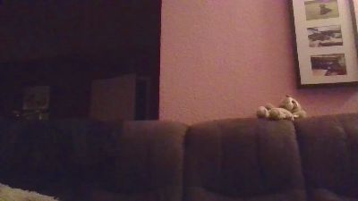 foxx1234 webcam model stream image