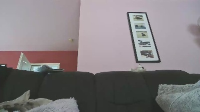 foxx1234 webcam model stream image