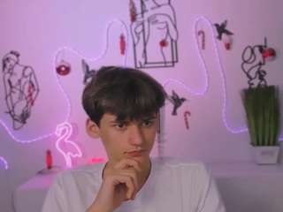 fose-di webcam model stream image