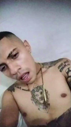 SoloTintaX66T webcam model stream image