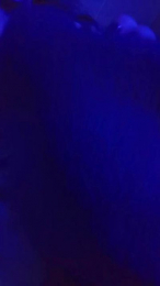 Lali777 webcam model stream image