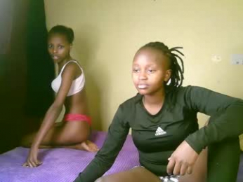 trazic_ webcam model stream image