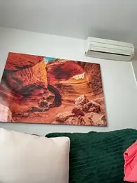 Selvaggia_official83 webcam model stream image