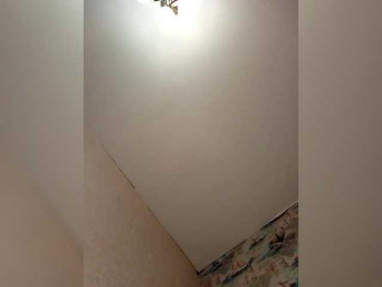 Snovidica webcam model stream image