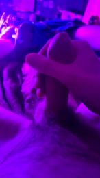 auge3 webcam model stream image