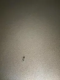 2HandsLong webcam stripchat model stream image