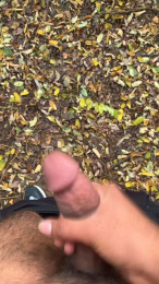 porcobg18 webcam model stream image