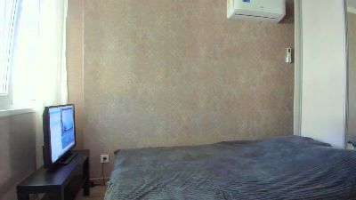 thermalsis webcam model stream image