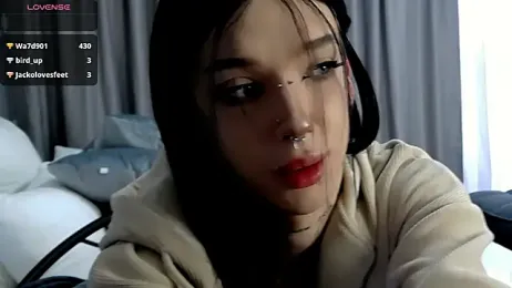 Dasha_WEYT webcam stripchat model stream image