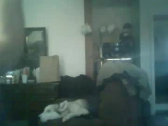 chad_the_blatalian webcam model stream image