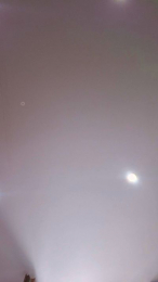 rhinosexa88 webcam model stream image