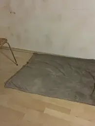 Sexgottdavid webcam model stream image