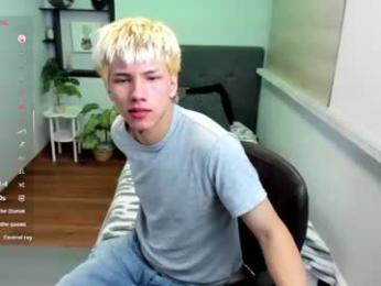 stich_23 webcam preview