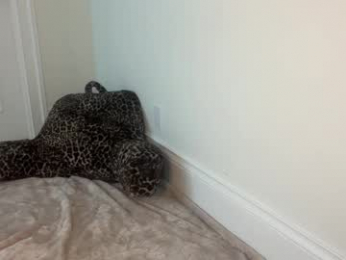 graceyrose webcam model stream image