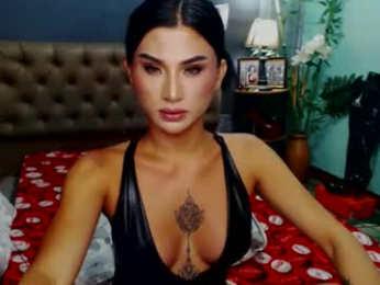 msasianbigcockts webcam model stream image