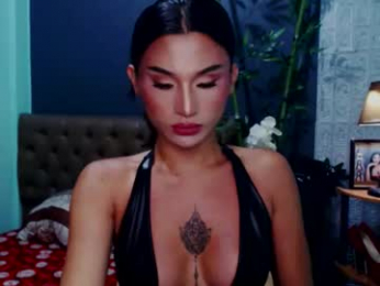 msasianbigcockts webcam chaturbate model stream image