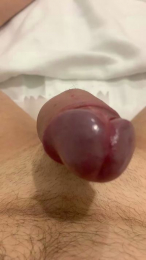 curioso4834 webcam model stream image