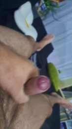 Complisx webcam model stream image