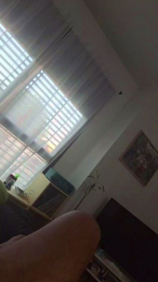 Complisx webcam model stream image