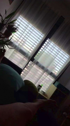 Complisx webcam model stream image