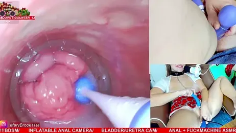 MaryBrook1 webcam stripchat model stream image