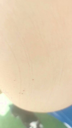 Purosangue86 webcam model stream image