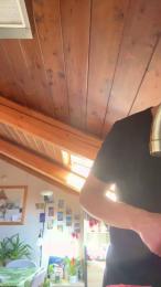 XBEAR001 webcam model stream image