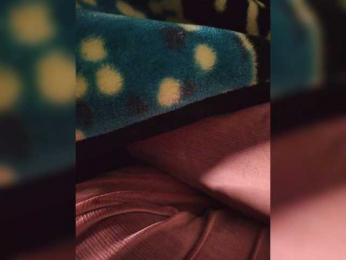 Immortal2925 webcam model stream image