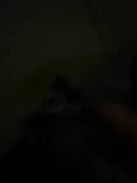 mayemarc webcam model stream image