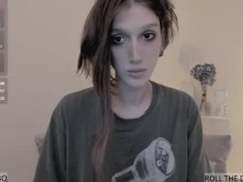 ayn3q webcam model stream image