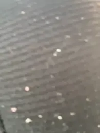 Halima_misshotpussy13 webcam model stream image