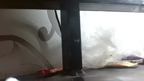 moonmaaiden webcam stripchat model stream image