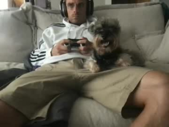 ossignol_xxx webcam chaturbate model stream image