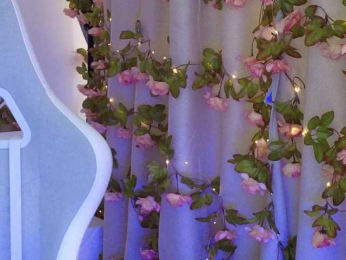 ballerina_capuchina webcam model stream image