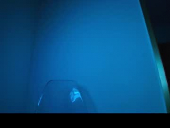 genessis__david_ webcam model stream image