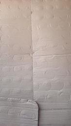 Fsst4 webcam cam4 model stream image