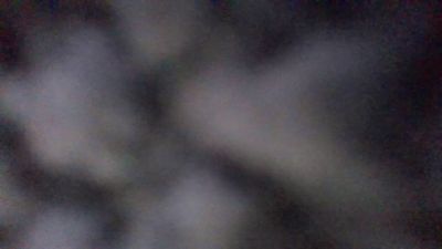 savega2 webcam model stream image