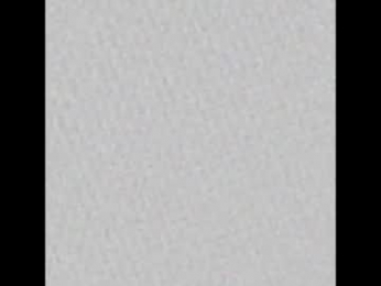 siberiataiga webcam model stream image