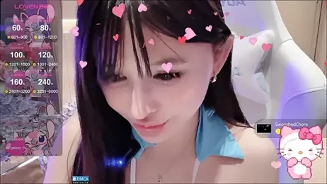 fog- webcam model stream image