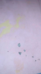 annie196 webcam model stream image