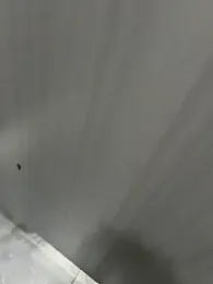 gayboy-1987 webcam model stream image