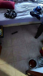 sensationx69 webcam model stream image