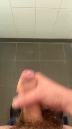Dickersw02 webcam model stream image