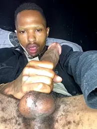 BlueIceCube webcam model stream image