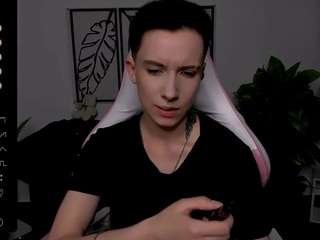 reinramm webcam model stream image