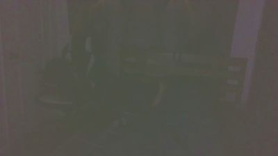 boost2469 webcam model stream image