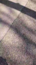 18cmdickforU webcam model stream image